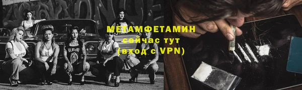 прущие грибы Медногорск