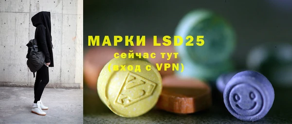 прущие грибы Медногорск