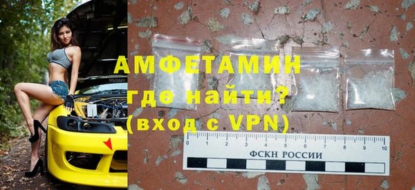 прущие грибы Медногорск