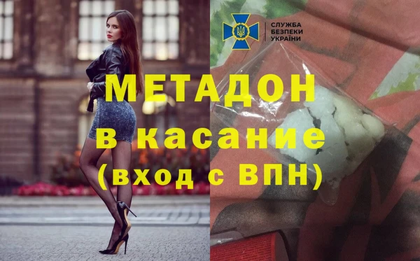 прущие грибы Медногорск
