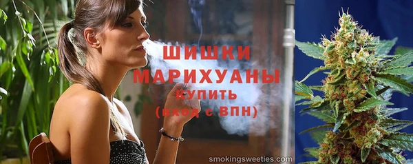 прущие грибы Медногорск