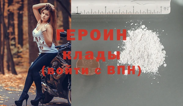 прущие грибы Медногорск