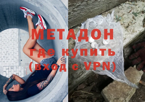 прущие грибы Медногорск