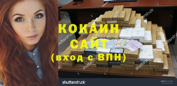 прущие грибы Медногорск