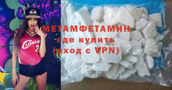 прущие грибы Медногорск