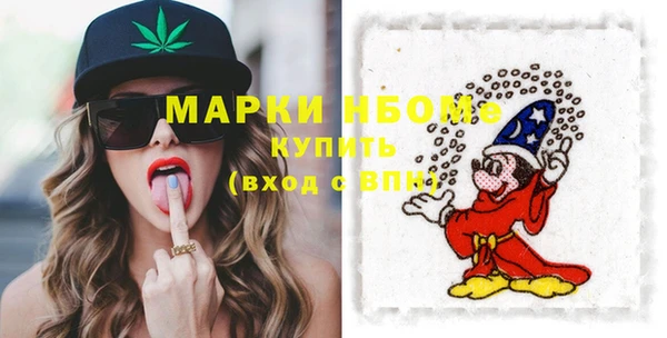 прущие грибы Медногорск