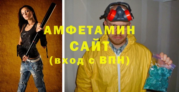 прущие грибы Медногорск
