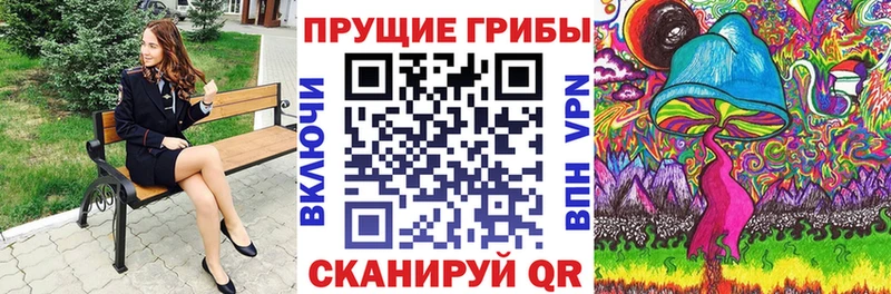 Галлюциногенные грибы Psilocybe  это какой сайт  Усолье 